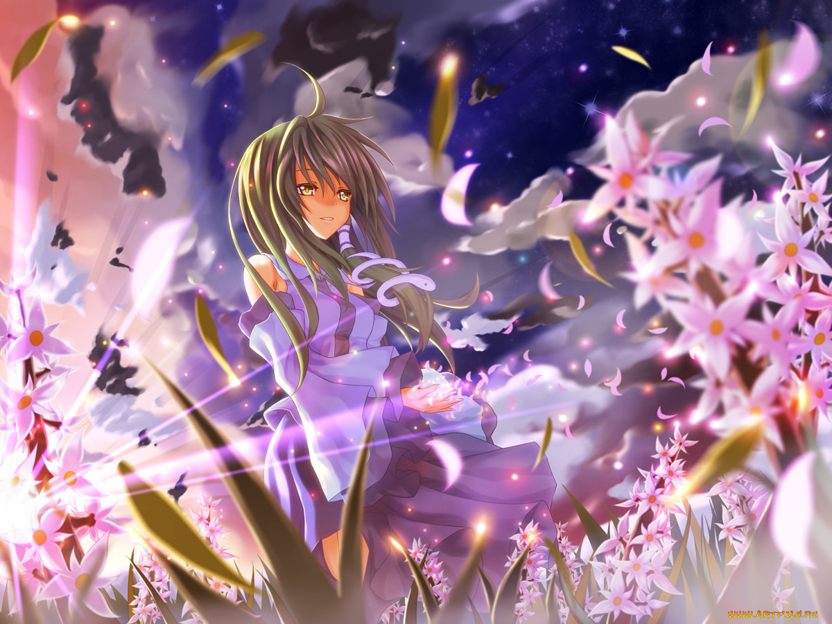 , touhou